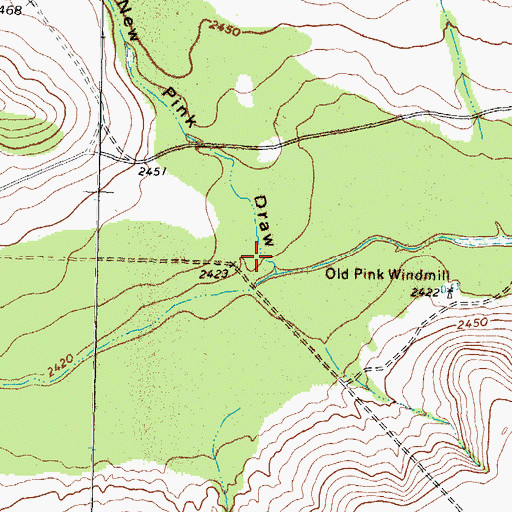 Topographic Map of New Pink Draw, TX