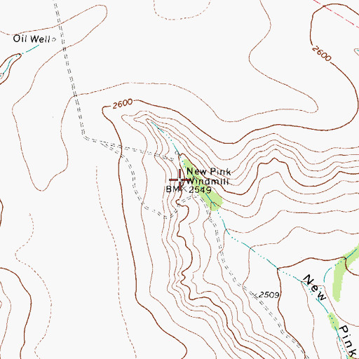 Topographic Map of New Pink Windmill, TX