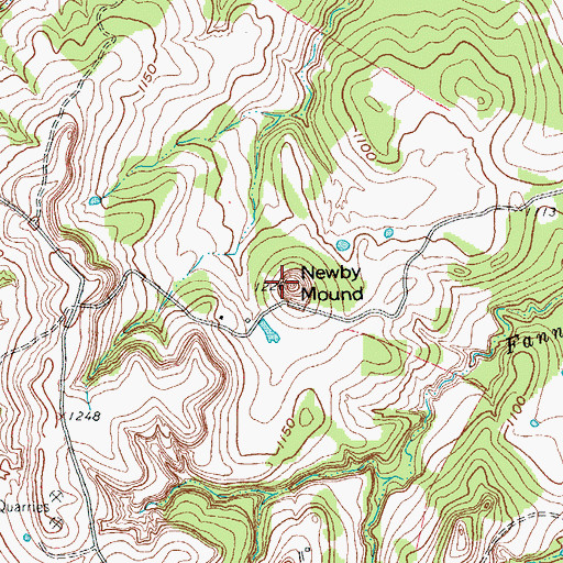 Topographic Map of Newby Mound, TX