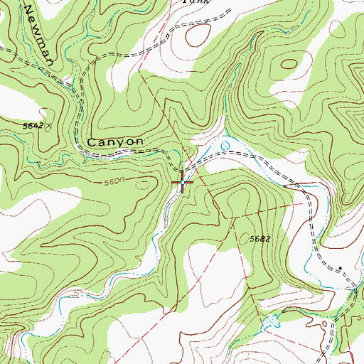 Topographic Map of Newman Canyon, TX