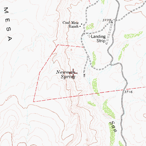 Topographic Map of Newman Spring, TX