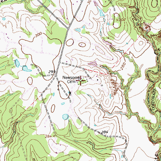Topographic Map of Newsome Cemetery, TX