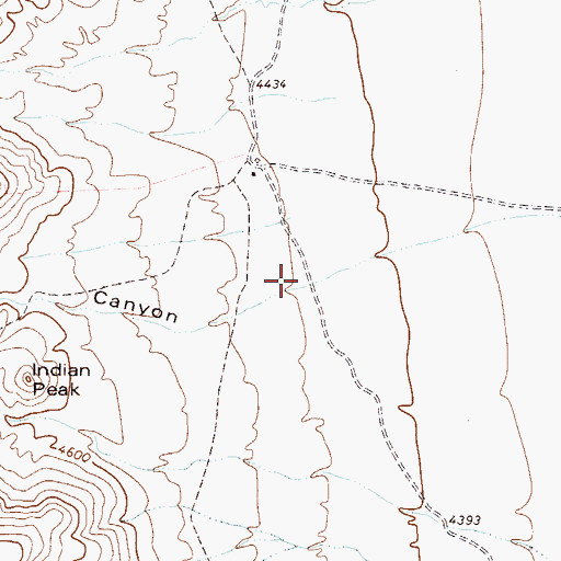 Topographic Map of Newton Canyon, TX