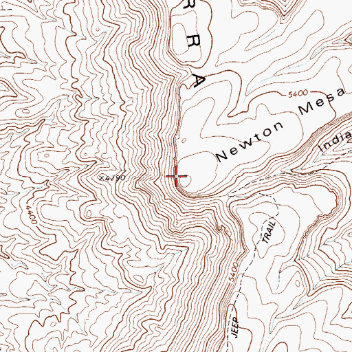 Topographic Map of Newton Mesa, TX