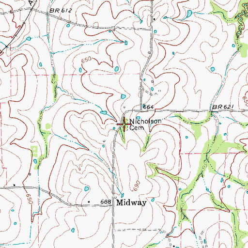 Topographic Map of Nicholson Cemetery, TX
