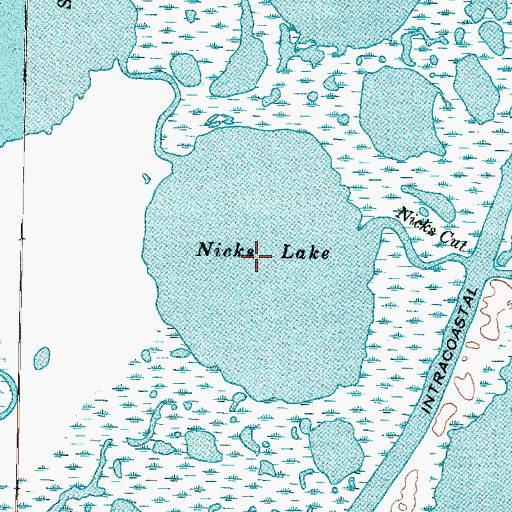 Topographic Map of Nicks Lake, TX