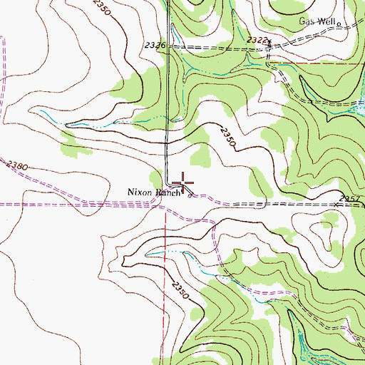 Topographic Map of Nixon Ranch, TX
