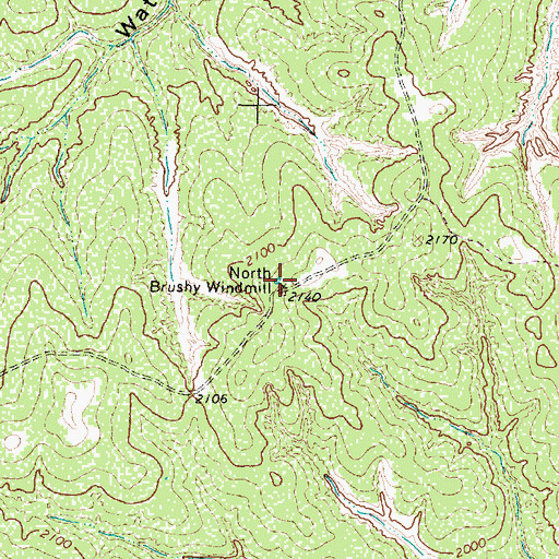 Topographic Map of North Brushy Windmill, TX