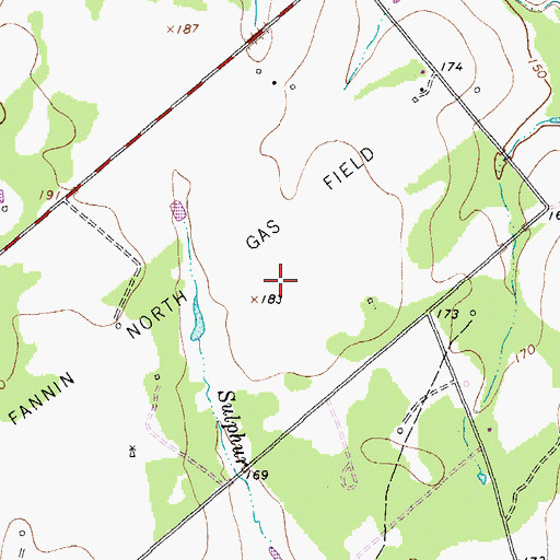 Topographic Map of North Fannin Gas Field, TX