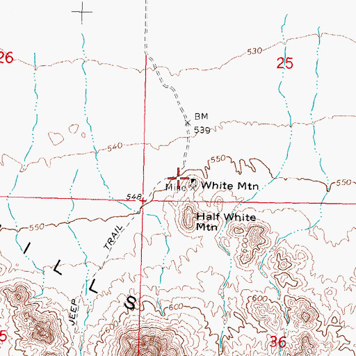 Topographic Map of White Mountain, AZ