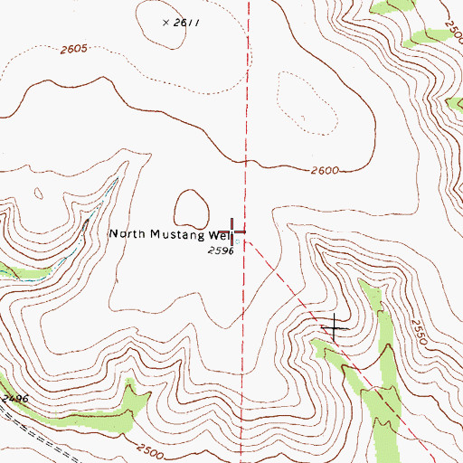 Topographic Map of North Mustang Well, TX