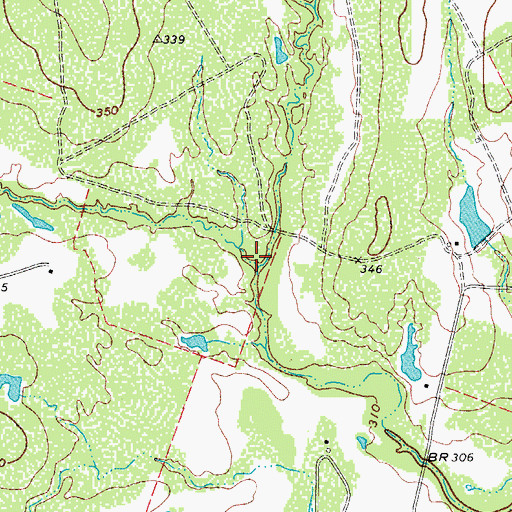 Topographic Map of North Prong Leoncita Creek, TX