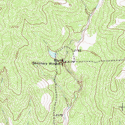 Topographic Map of North Shinnery Windmill, TX