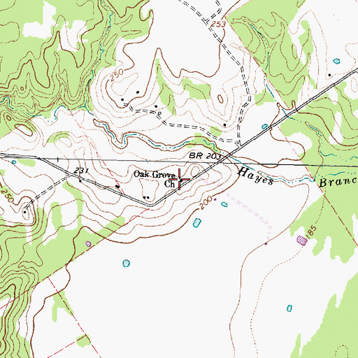 Topographic Map of Oak Grove Church, TX
