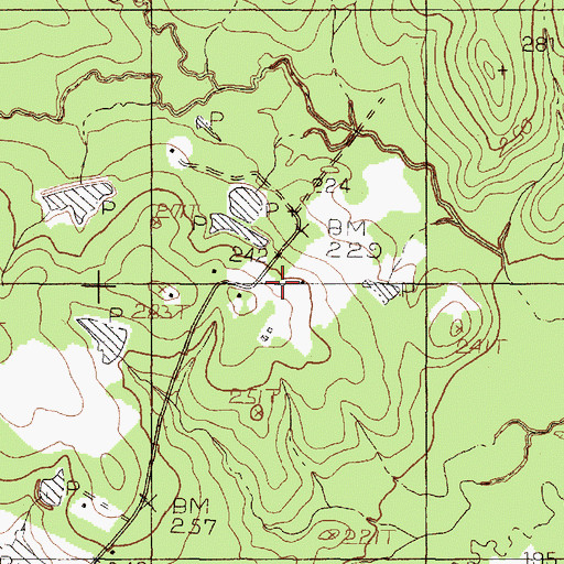 Topographic Map of Old Barnum, TX