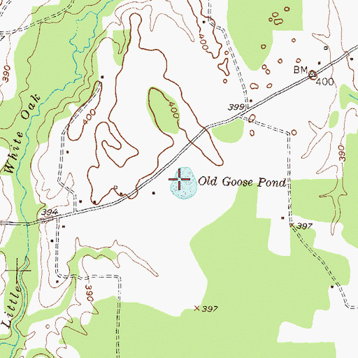Topographic Map of Old Goose Pond, TX