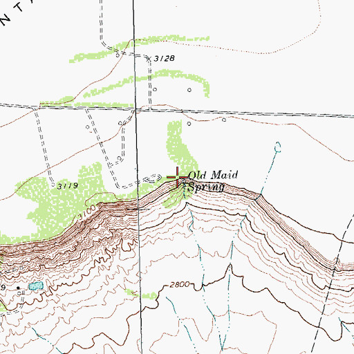 Topographic Map of Old Maid Spring, TX