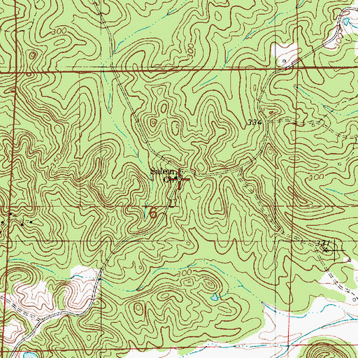 Topographic Map of Salem Church, AL