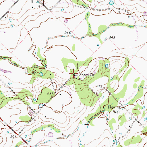 Topographic Map of Oldham Church, TX