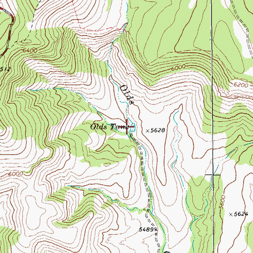 Topographic Map of Olds Tank, TX