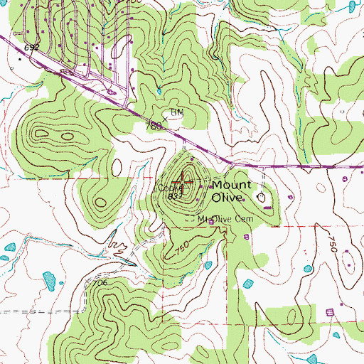 Topographic Map of Mount Olive, TX