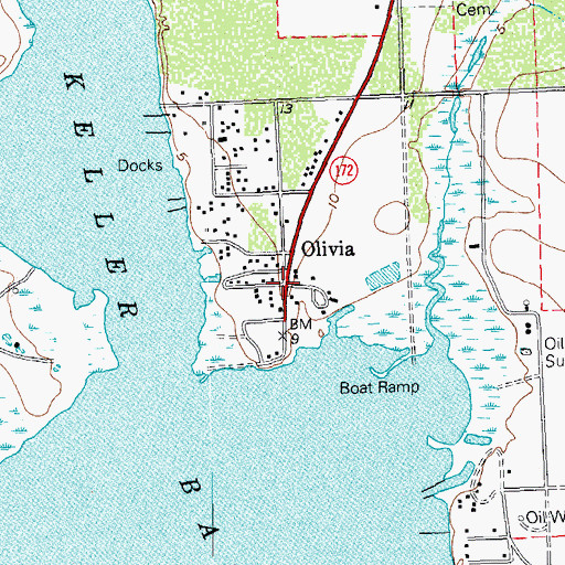 Topographic Map of Olivia, TX