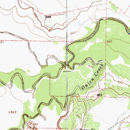 Topographic Map of Onion Creek, TX