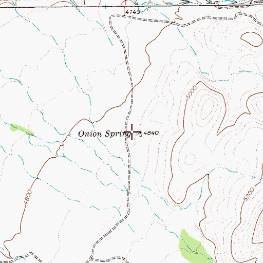 Topographic Map of Onion Spring, TX