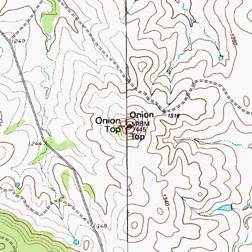 Topographic Map of Onion Top, TX