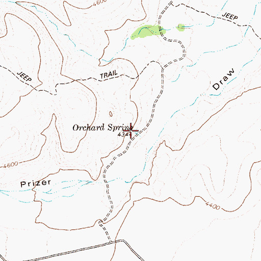 Topographic Map of Orchard Spring, TX