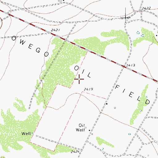 Topographic Map of Owego Oil Field, TX
