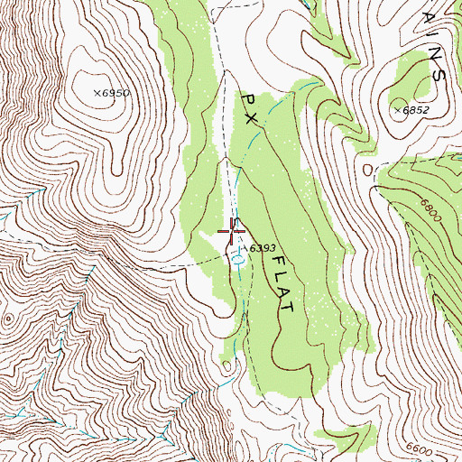 Topographic Map of P X Flat, TX