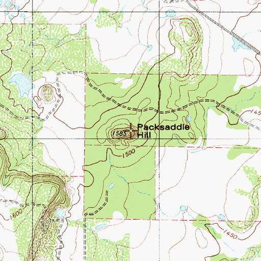 Topographic Map of Packsaddle Hill, TX