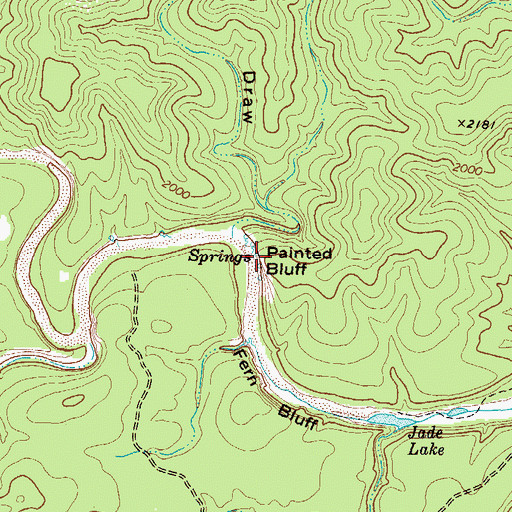 Topographic Map of Painted Bluff, TX