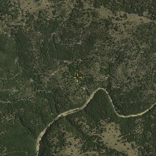 Aerial/Satellite Image of Pal Spring, TX