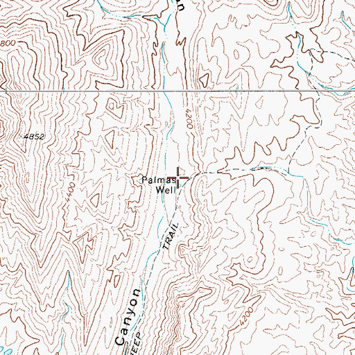 Topographic Map of Palmas Well, TX