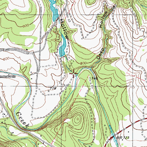 Topographic Map of Palmetto Hollow, TX