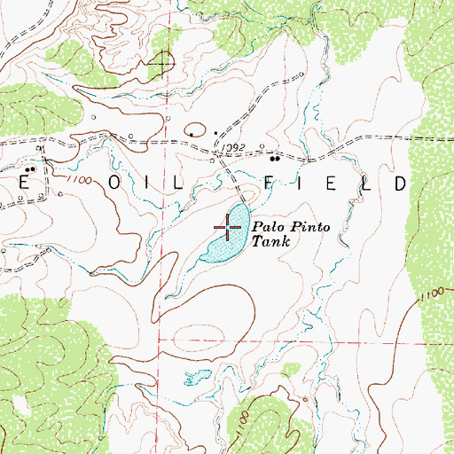Topographic Map of Palo Pinto Tank, TX