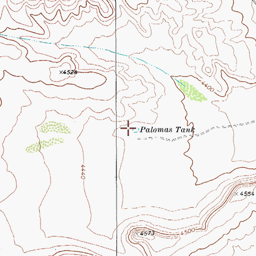 Topographic Map of Palomas Tank, TX