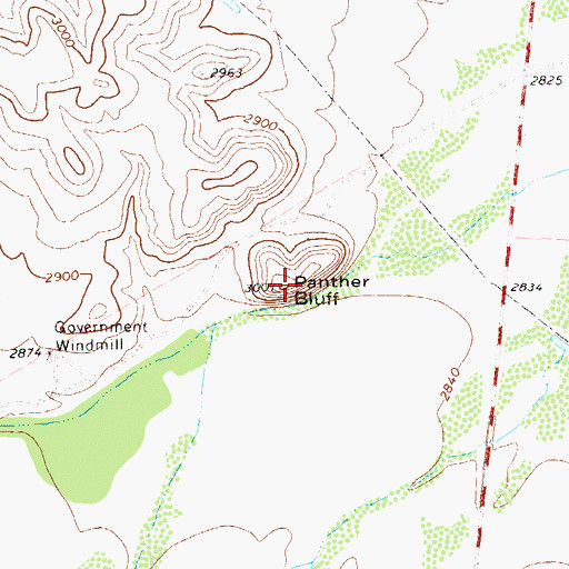 Topographic Map of Panther Bluff, TX