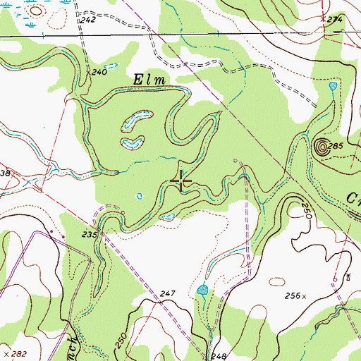 Topographic Map of Panther Branch, TX