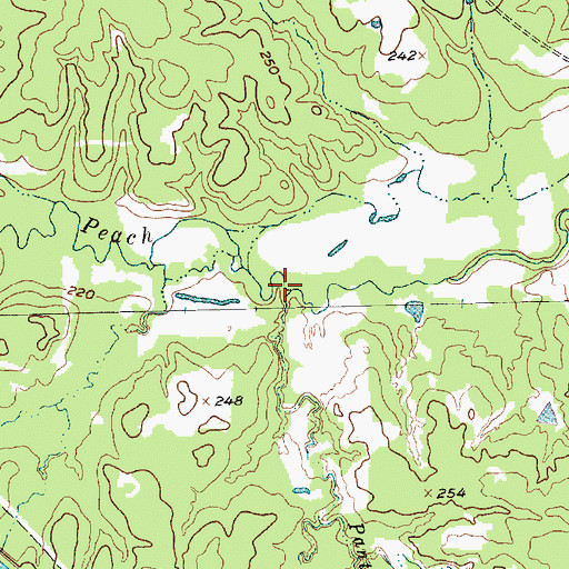 Topographic Map of Panther Branch, TX