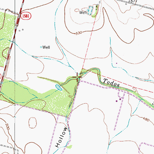Topographic Map of Panther Hollow, TX