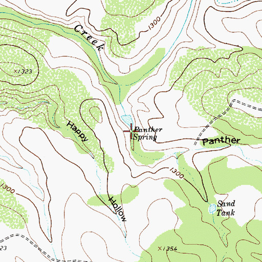 Topographic Map of Panther Spring, TX
