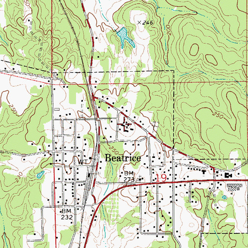 Topographic Map of Beatrice Elementary School, AL
