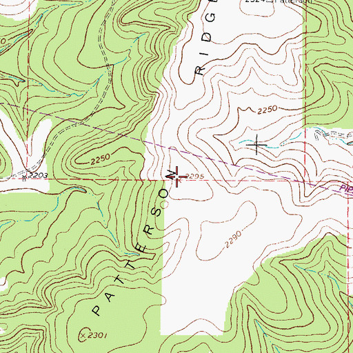 Topographic Map of Patterson Ridge, TX