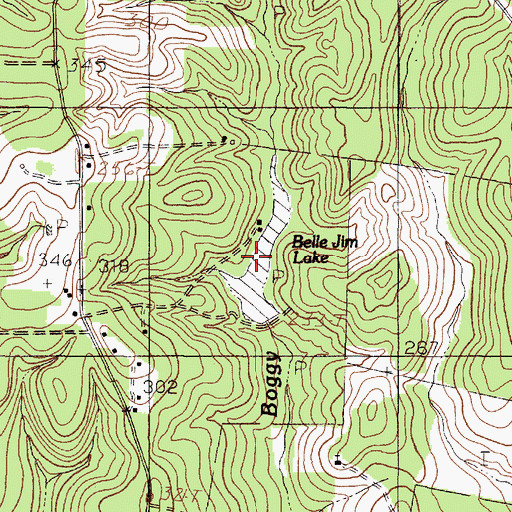 Topographic Map of Pattons Pond, TX