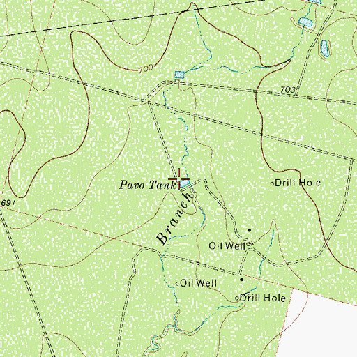Topographic Map of Pavo Tank, TX