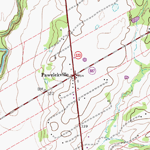 Topographic Map of Pawelekville, TX