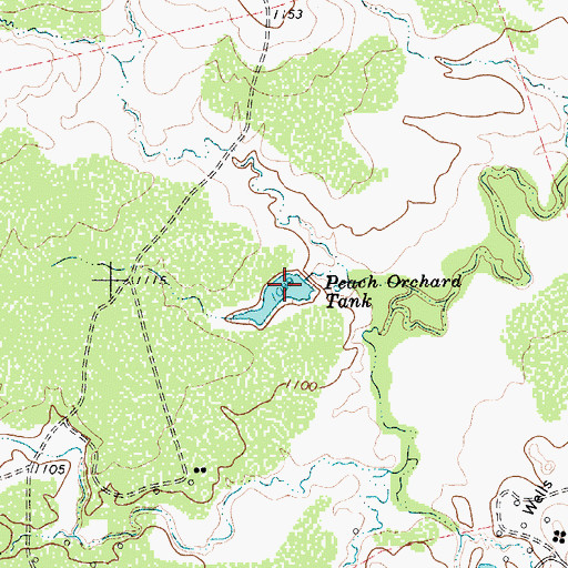 Topographic Map of Peach Orchard Tank, TX